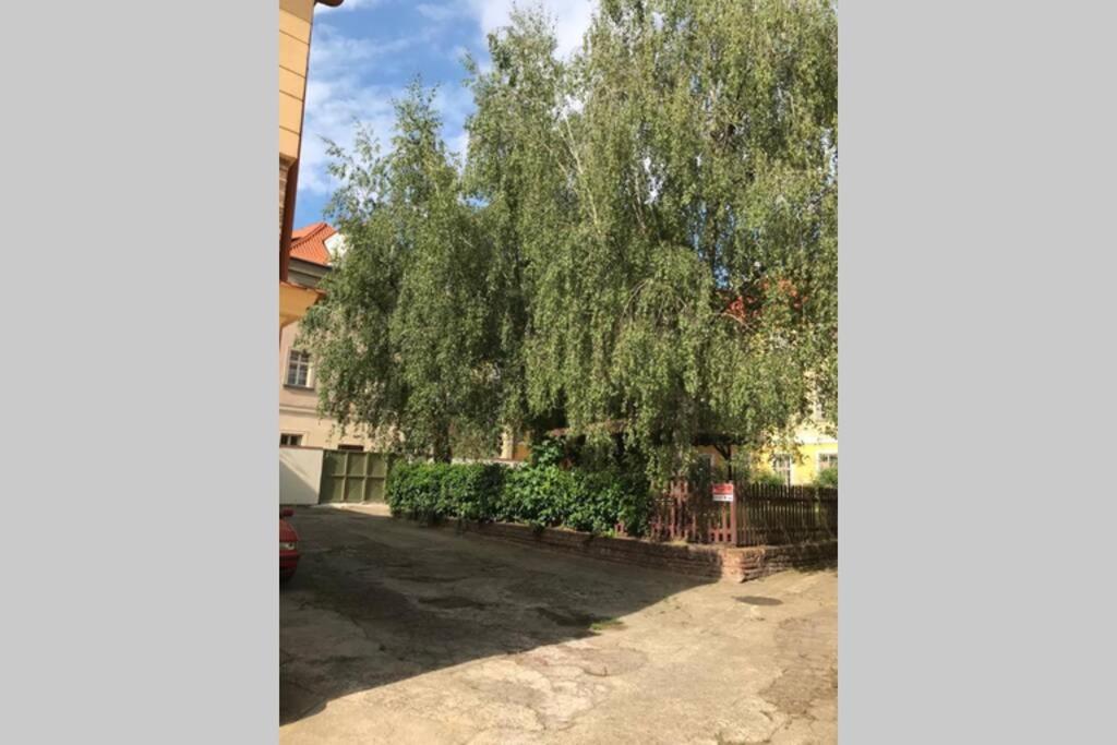 Rose Apartments / Romantic & Cozy / City Center Прага Экстерьер фото